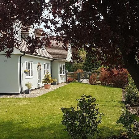 Spring Paddocks B&B Furneux Pelham Buitenkant foto
