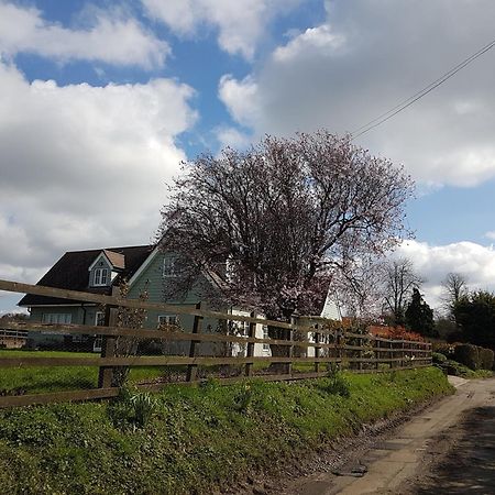 Spring Paddocks B&B Furneux Pelham Buitenkant foto