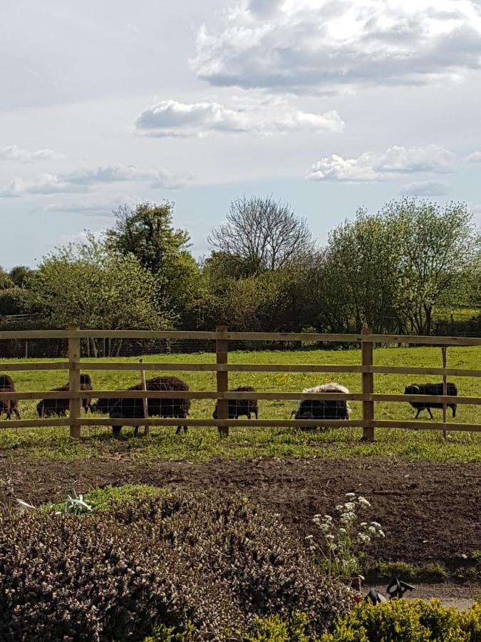 Spring Paddocks B&B Furneux Pelham Buitenkant foto