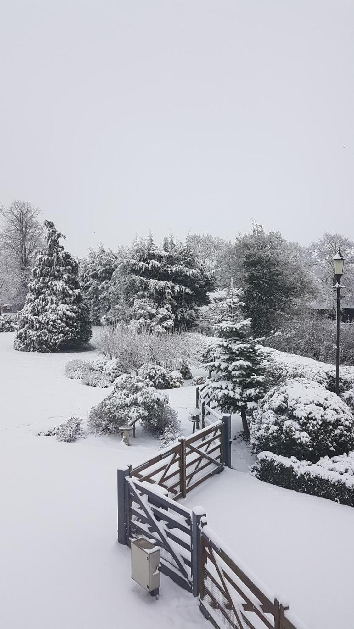 Spring Paddocks B&B Furneux Pelham Buitenkant foto